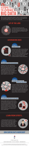 Infographic: 4 Steps to Leverage Big Data by Pinnacle Business Systems