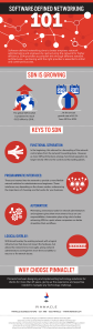 Pinnacle Business Systems Software Defined Networks SG