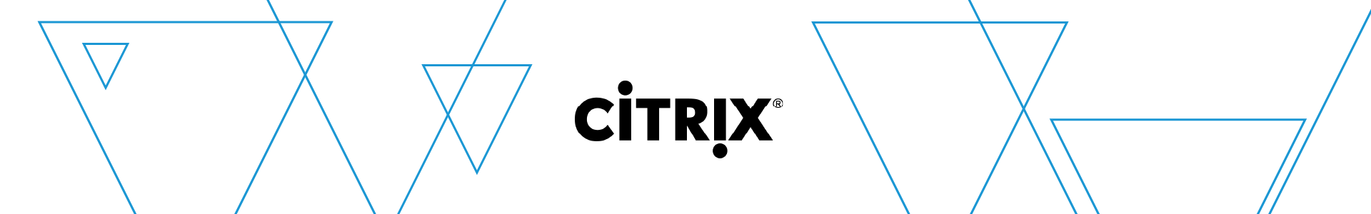 Citrix resellers zoom conferencing hardware magnifier download